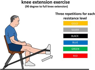 Neuromuscular and acute symptoms responses to progressive elastic resistance exercise in patients with chronic obstructive pulmonary disease: Cross-sectional study